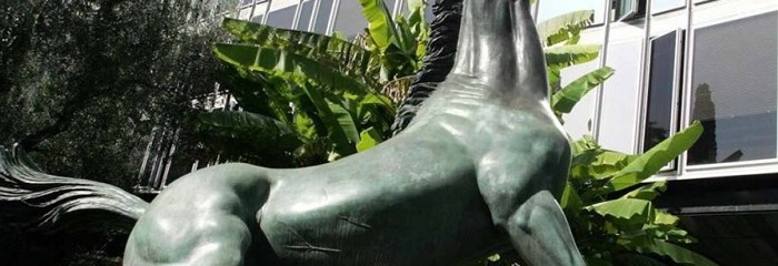 32e449fc0fc38792f00f229441766cc2