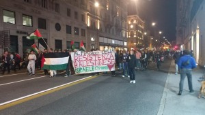 Una manifestazione pro Pal
