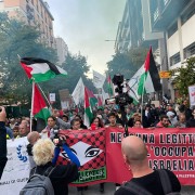 La manifestazione pro Palestina a Udine